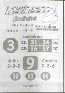 หวยดังมาแรง กระต่ายขาว 2/5/66