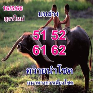 เว็บหวย ควายนำโชค 16/5/66