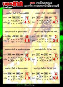 เลขหวยคู่รวย คู่เด่น 1/6/66