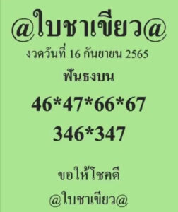 เลขหวยใบชาเขียว 1/6/66