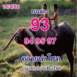 เลขเด่นหวยควายนำโชค 1-7-66