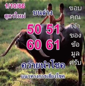 หวยไทย ควายนำโชค 1/10/66