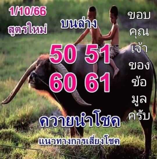 หวยไทย ควายนำโชค 1/10/66